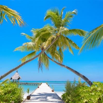 大发黄金版888下载下载手机版