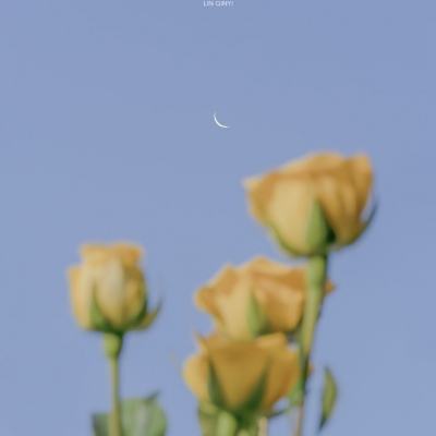 天健棋牌手机app下载