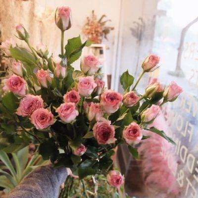 博鱼中国体育官网登录