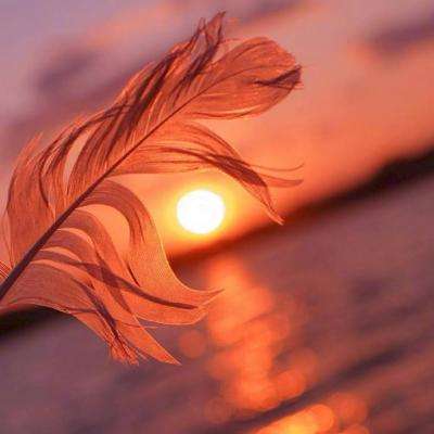 手机买彩票app下载