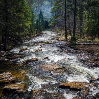 九游会ag下载手机版