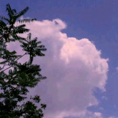 开元棋脾app下载